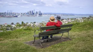 Auckland City Revealed